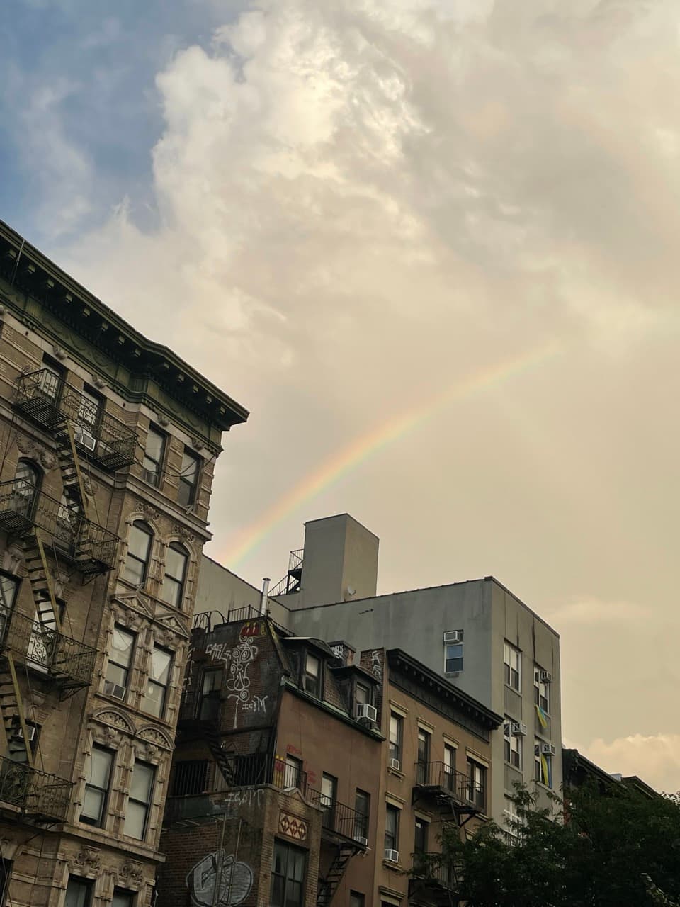 A Stranger on the Internet